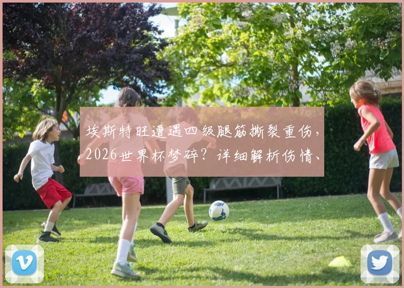 埃斯特旺遭遇四级腿筋撕裂重伤，2026世界杯梦碎？详细解析伤情、康复时间及对帕尔梅拉斯影响